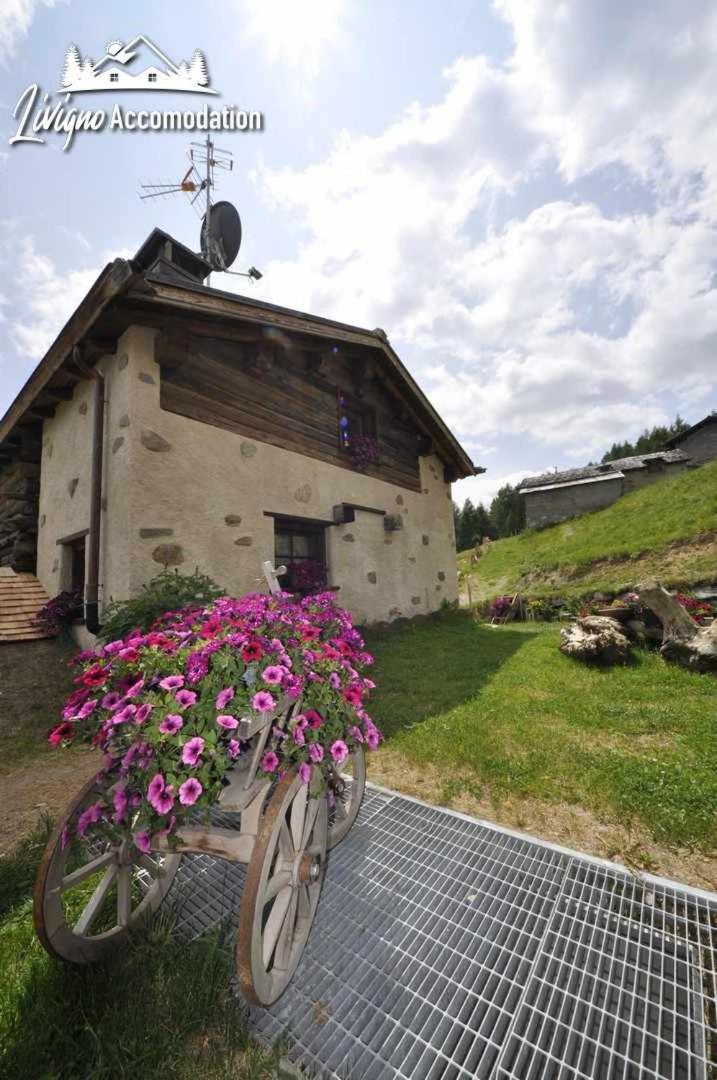 Mountain Chalet Scoiattolo By Livigno Accomodation Exterior photo